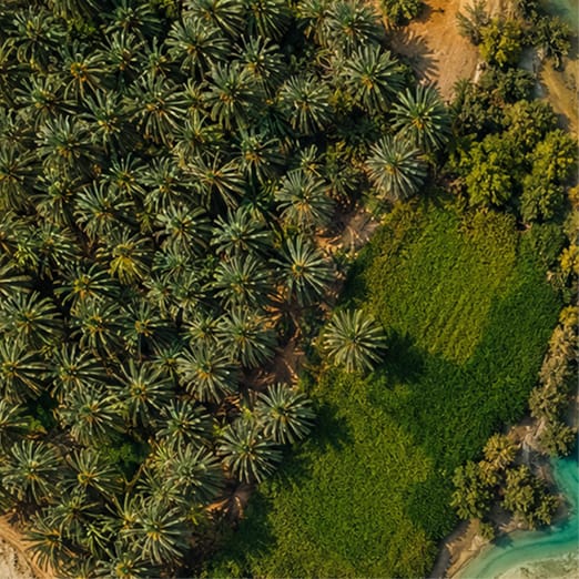 Nature zone